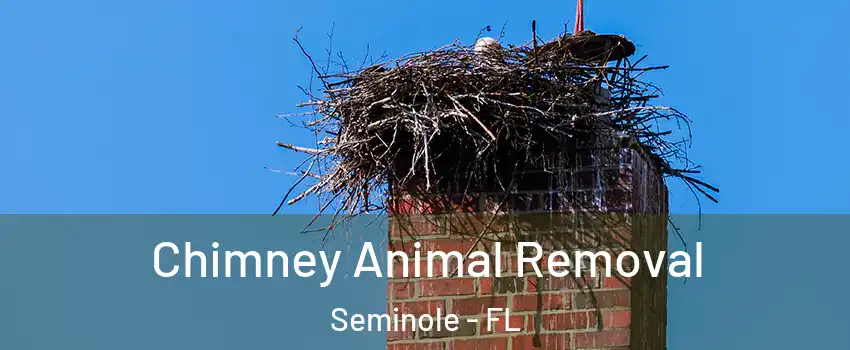 Chimney Animal Removal Seminole - FL